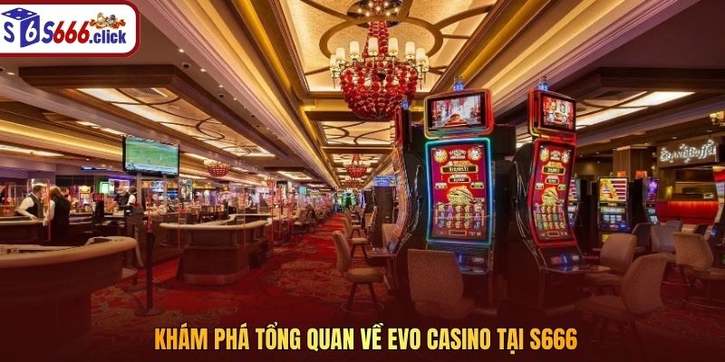 Khám phá tổng quan về EVO Casino tại S666